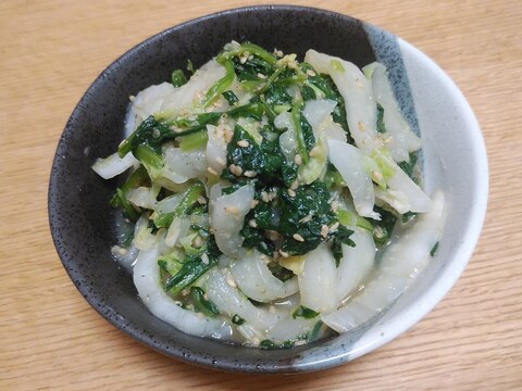 ほうれん草と白菜のごまあえ